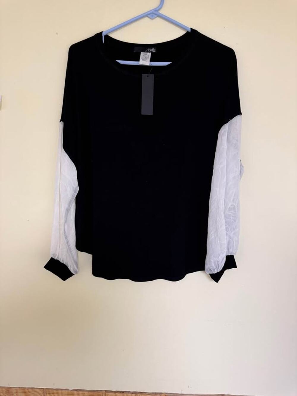 Ariella Women’s Black White Sheer Embroidered Balloon Sleeve Top (as21b3)